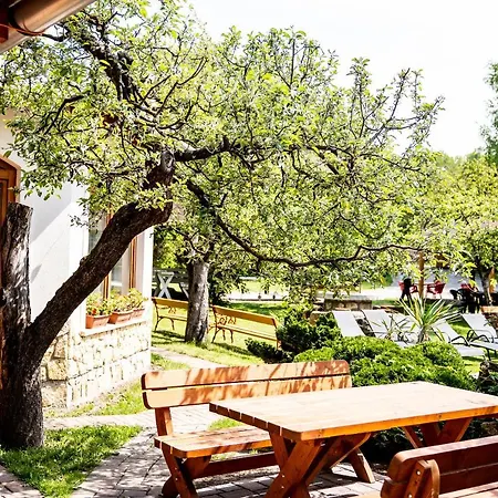 Aranybanya Panzio Es Apartmanhaz Gasthuis