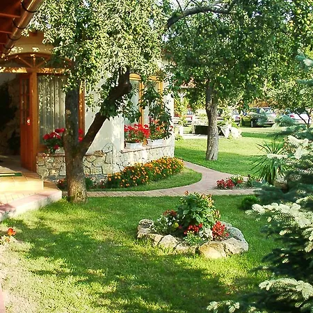 Gæstehus Aranybanya Panzio Es Apartmanhaz *